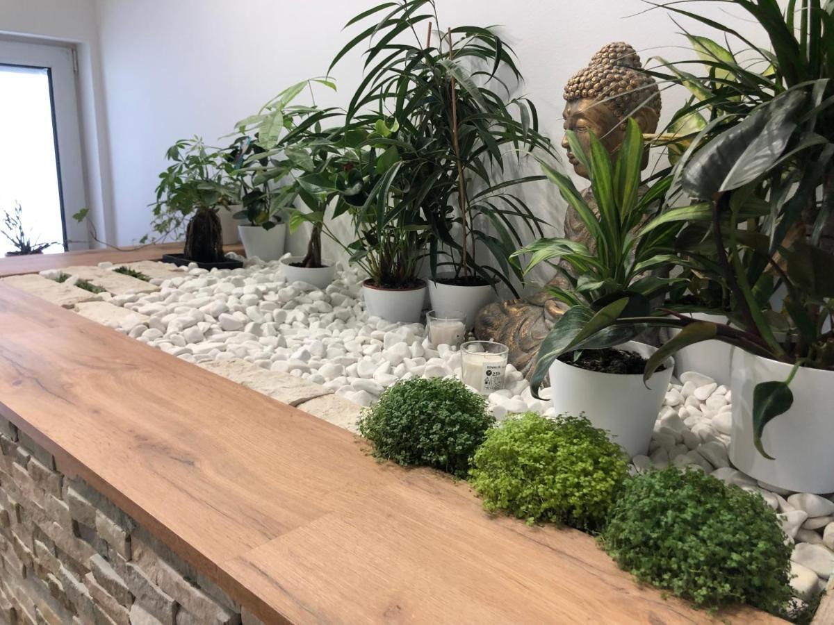 Garden House Lejlighed Kranj Eksteriør billede