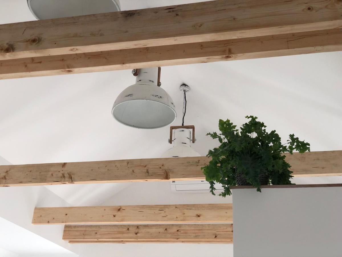 Garden House Lejlighed Kranj Eksteriør billede